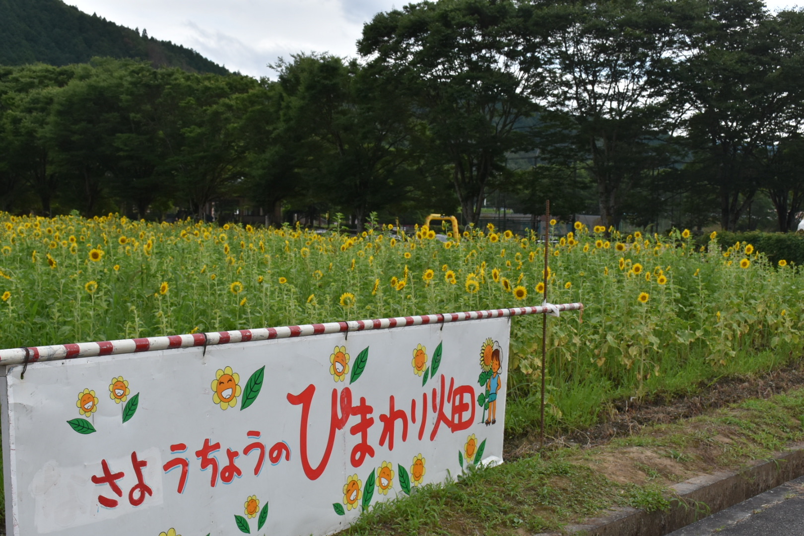7月28日（日）花火大会